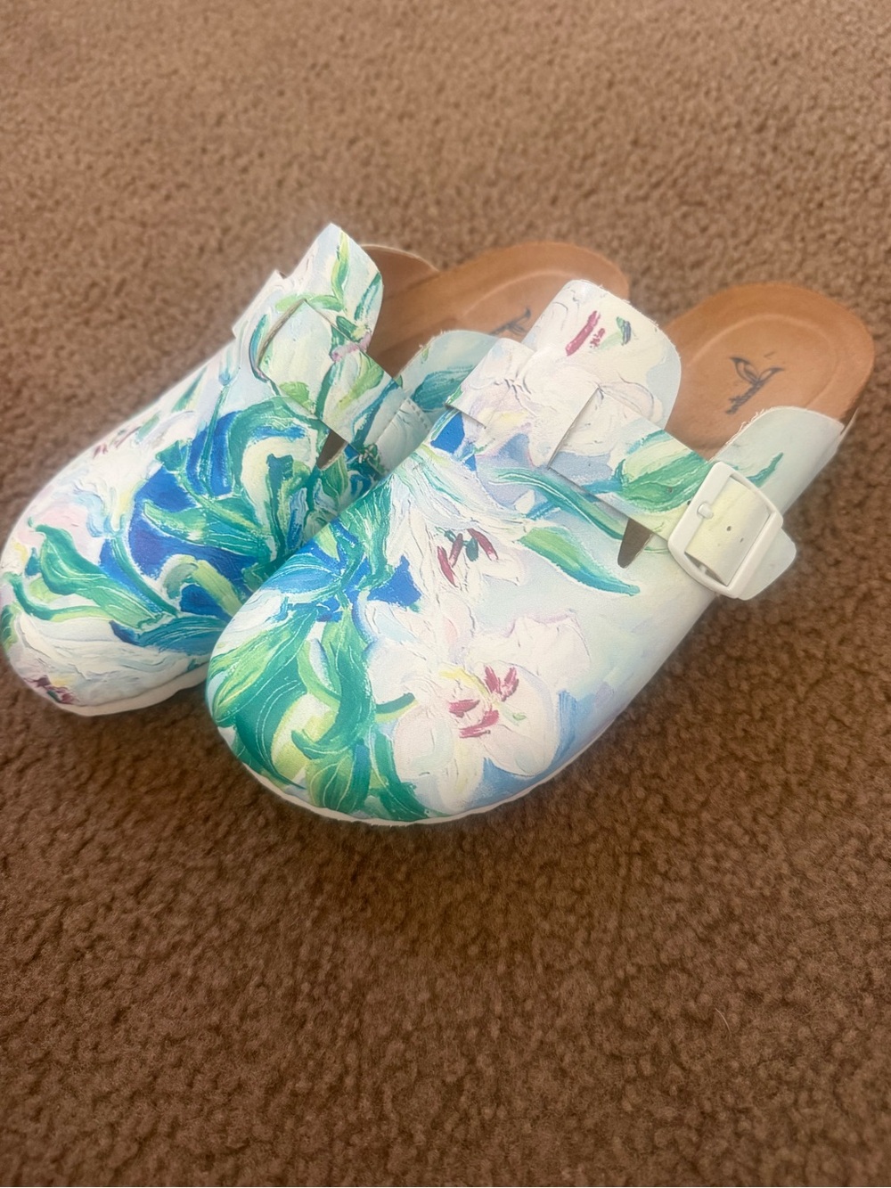 Hand painted clogs